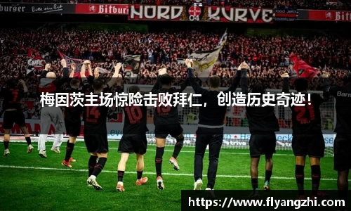 BoB半岛·体育中国官方网站
