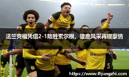 BoB半岛·体育中国官方网站