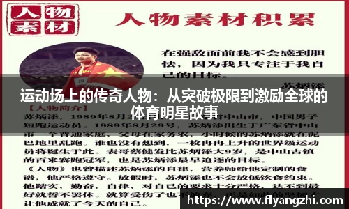半岛bob·官方网站