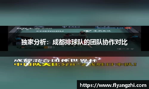 独家分析：成都排球队的团队协作对比
