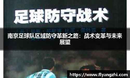 南京足球队区域防守革新之路：战术变革与未来展望
