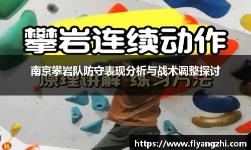 南京攀岩队防守表现分析与战术调整探讨