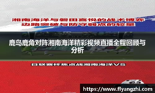 BoB半岛·体育中国官方网站