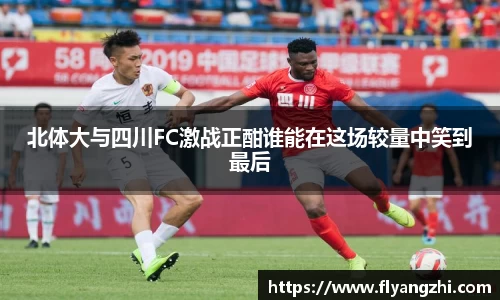 BoB半岛·体育中国官方网站
