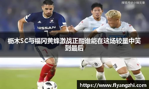 半岛·BOB官方网站