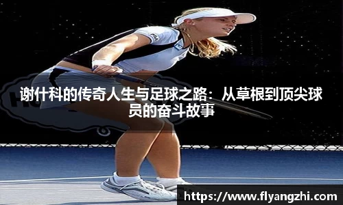 半岛bob·官方网站