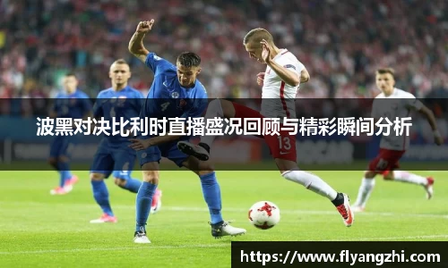 波黑对决比利时直播盛况回顾与精彩瞬间分析