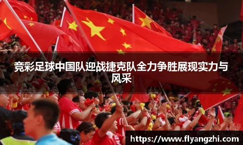 BoB半岛·体育中国官方网站